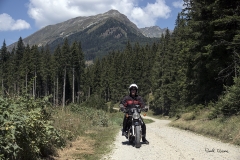 Austria 683R